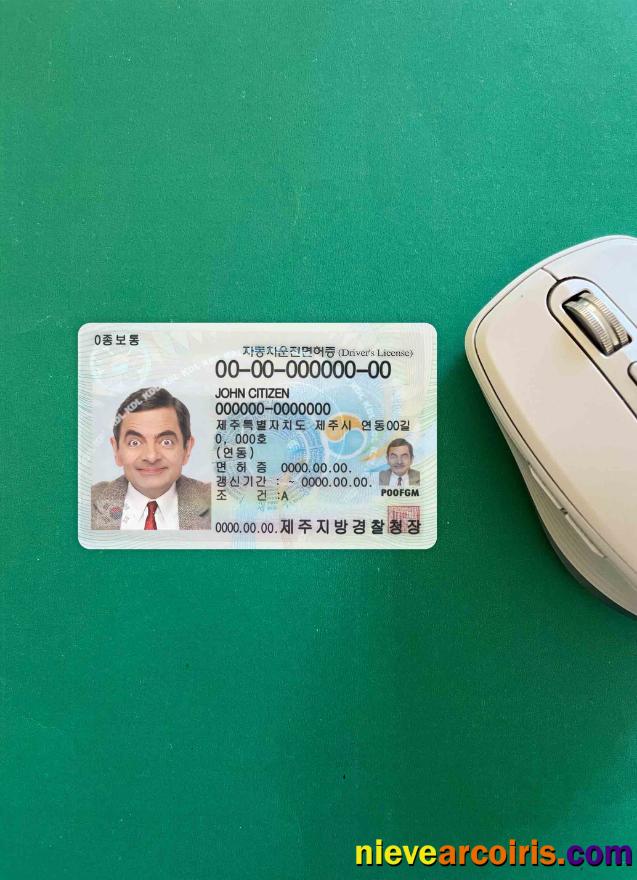 South Korea driving license photolook